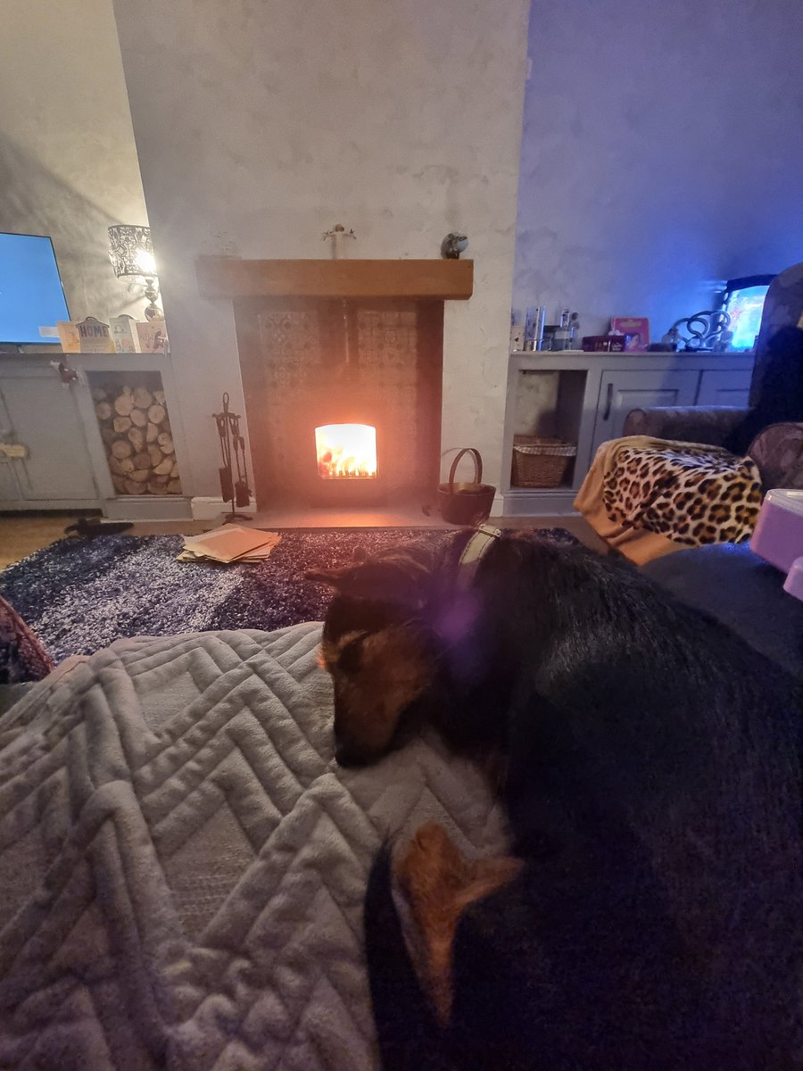 Gamble free girl tweet media