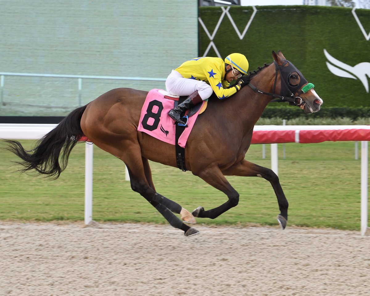 Gulfstream Park (@gulfstreampark) on Twitter photo Turn Up the Trees powers home to win race 4, <a href="/JosephTrejos29/">Joseph Trejos</a> is the winning rider and Andy Williams is the winning conditioner. #GulfstreamPark #ChampionshipMeet Turn Up the Trees powers home to win race 4, <a href="/JosephTrejos29/">Joseph Trejos</a> is the winning rider and Andy Williams is the winning conditioner. #GulfstreamPark #ChampionshipMeet