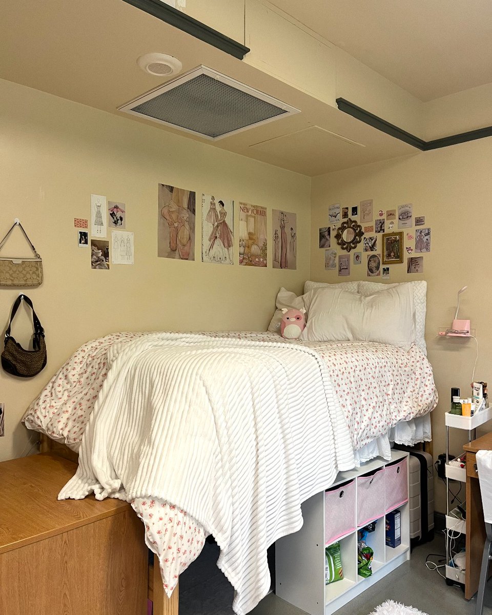 #FeatureFriday Step into cozy organization at Jennie Murphree Hall! With a cute bed setup and stylish organization, this dorm is a perfect blend of functionality and charm. 🌟 #FSUDorm #FSURoom #FSUJennieMurphree #JennieMurphreeHall
