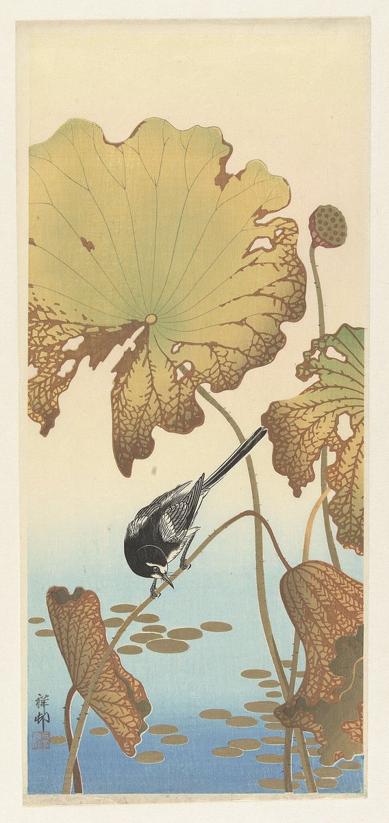 Japanese Wagtail on Lotus Plant, by Ohara Koson, 1925-1936