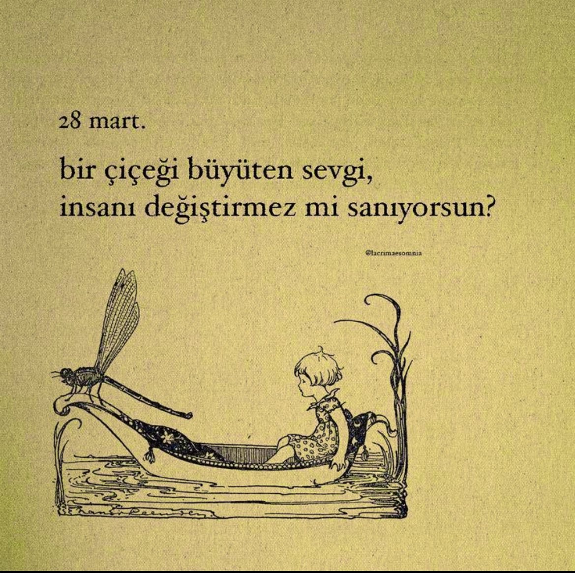 furkanorhandede's tweet photo. https://t.co/6dMy6kTs08
