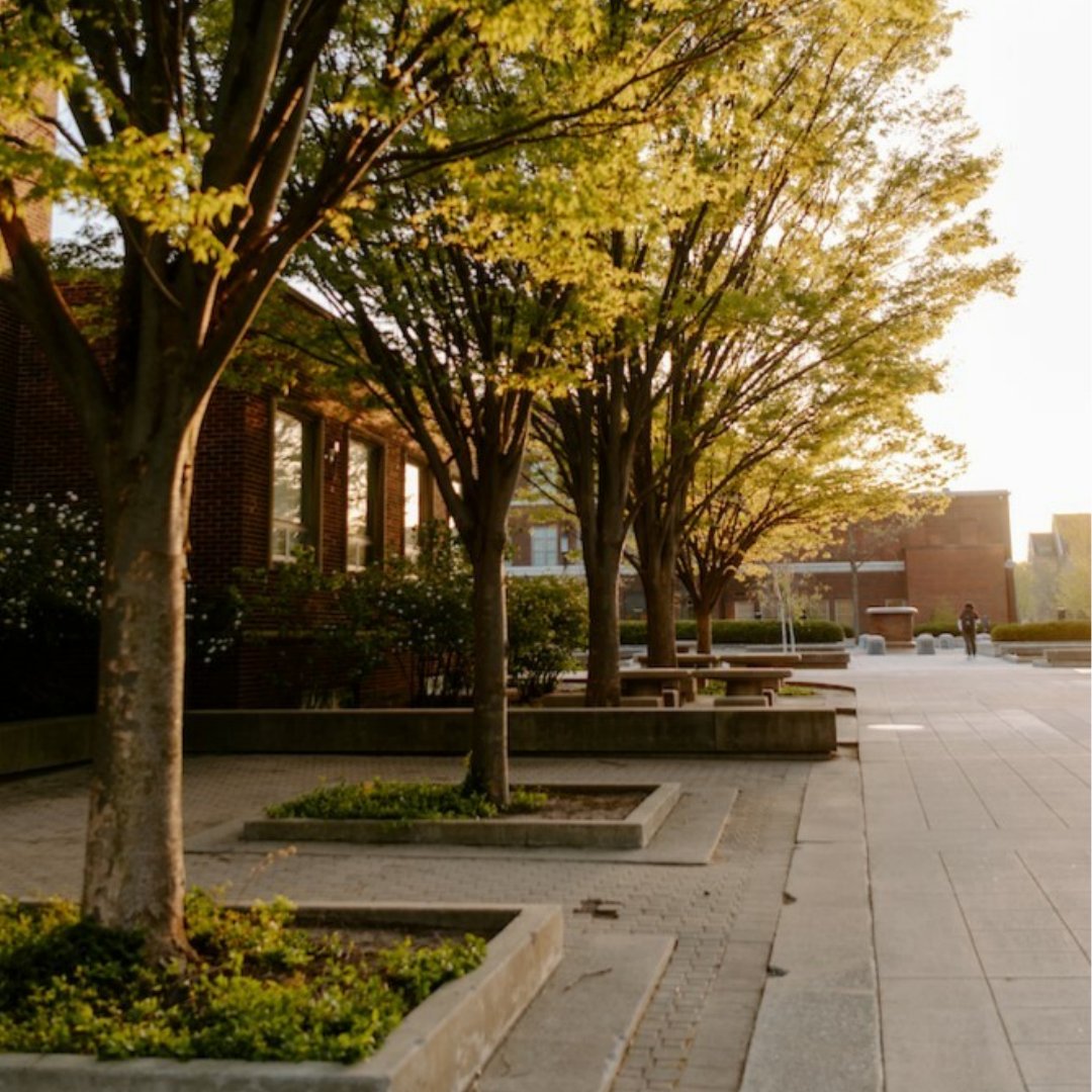 SustainPurdue's tweet photo. 🌳 #FastFactFriday 🌳 
Purdue has been Tree Campus USA certified since 2009! This year, we reached a major milestone by planting 3,738 new trees on campus as part of the 1869 Tree Planting Master Plan. 🪴 https://t.co/xyTRegJO4N
