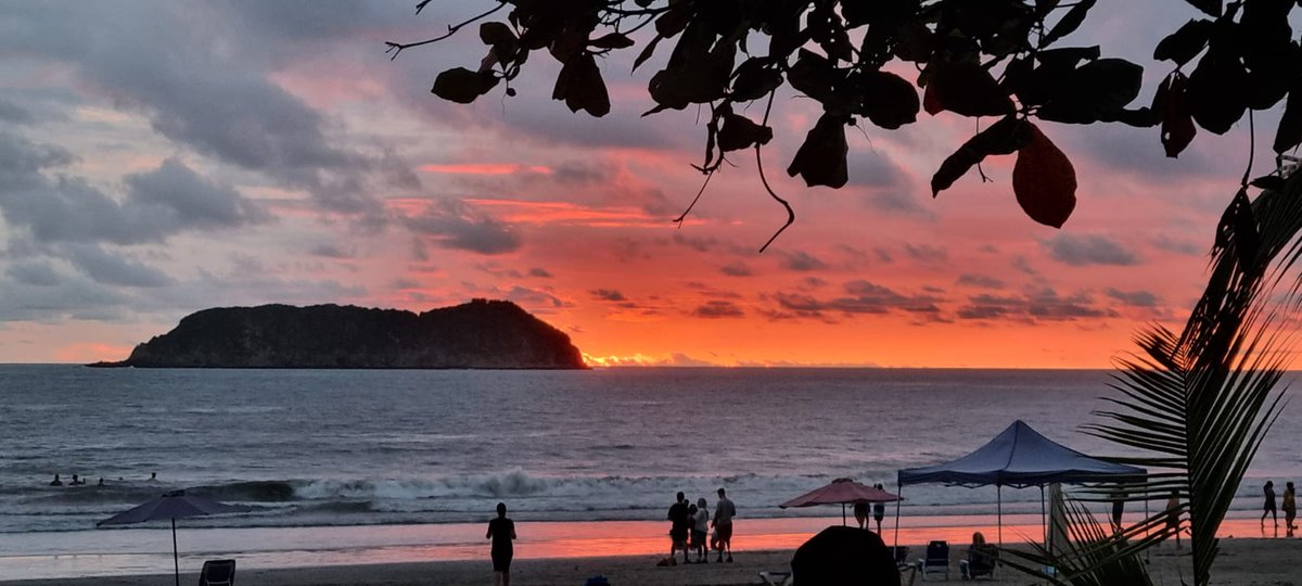 Scarlet Macaus, Hermit Crabs, Pacific ocean, #Costarica