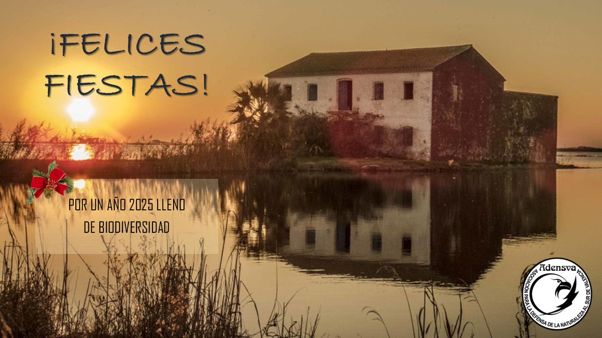 ADENSVA (@adensva) on Twitter photo 