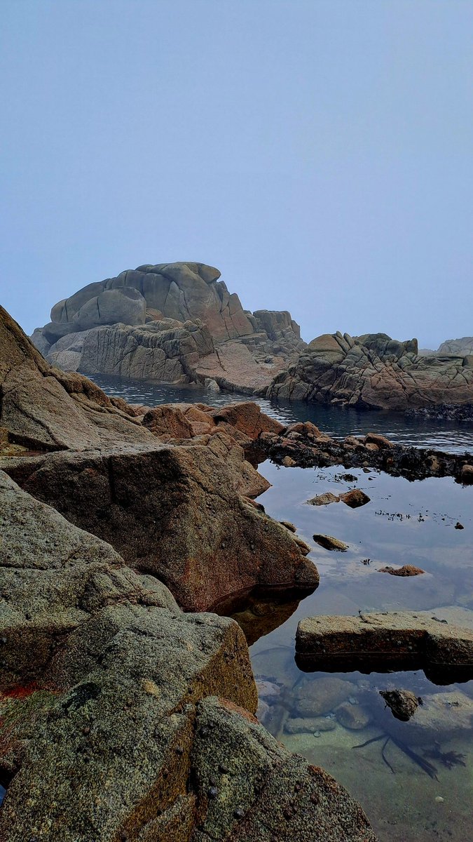 Eilish Sutton tweet media