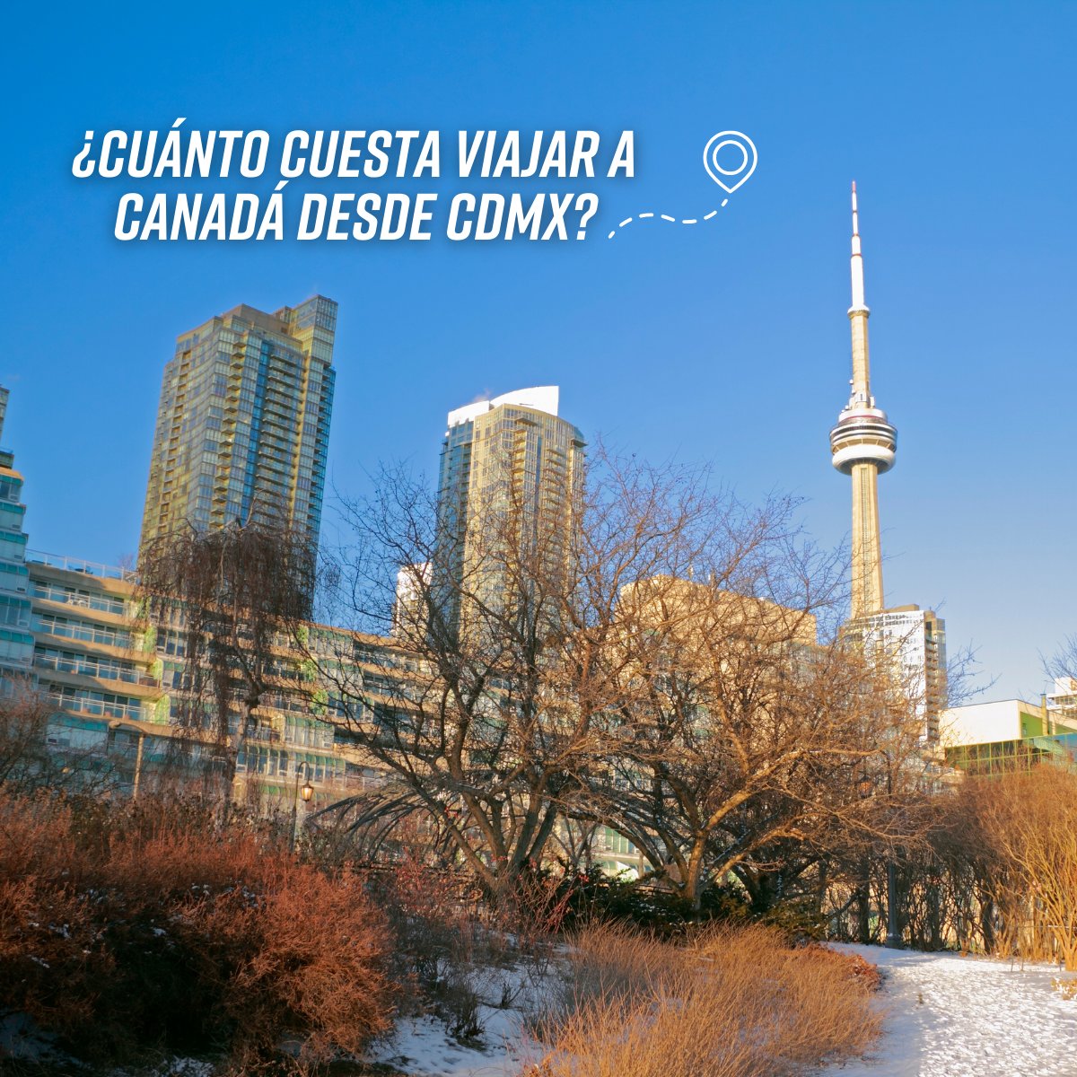 MegaTravel_MX's tweet photo. ¿Cuánto cuesta viajar a #Canadá? 🍁🤔 ¡Este precio te va a encantar!
Vive lo mejor de este sorprendente país:
✨ Siente la energía de la vida nocturna en #Toronto y #Montreal.
🌿 Admira la belleza natural de #NiagaraFalls y #MilIslas.
🏛️ Conoce la historia y cultura en #Ottawa y #Quebec.
¡Explora #Canadá como nunca antes! Reserva ya ✨➡️ https://t.co/L6yzByqTKF
#MegaTravel