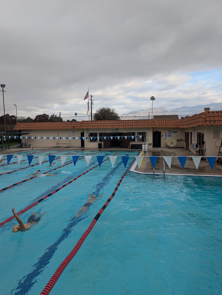georgesy_09010's tweet photo. #SGSGGOLD Hell Week for swimmers last week of the year! Go! Faster! 8 training sessions in 6 days. The war room is open! https://t.co/JEuFvcgALG