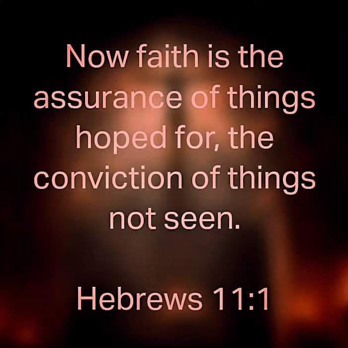 David (@David8176483710) / Posts / X