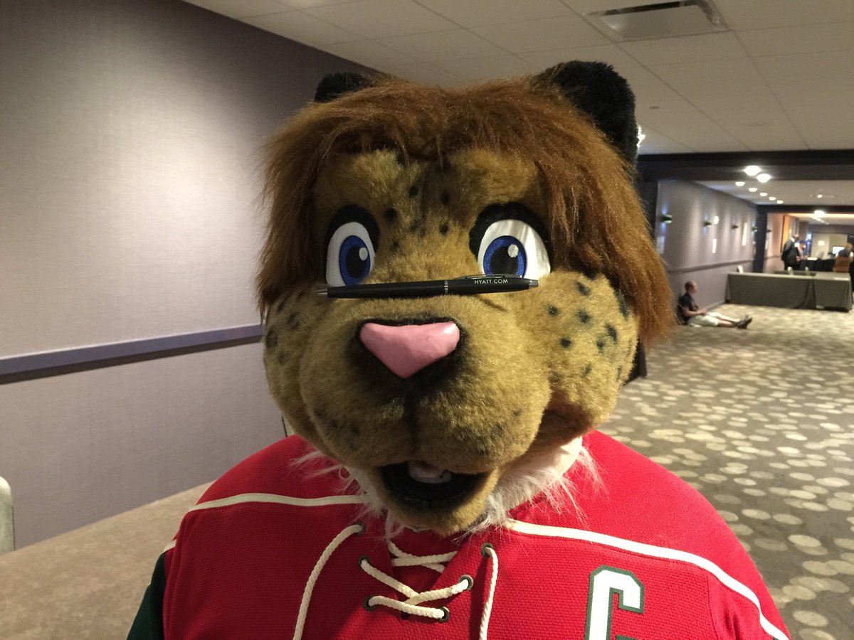 Prowler!🏳️‍🌈 🐆 tweet media