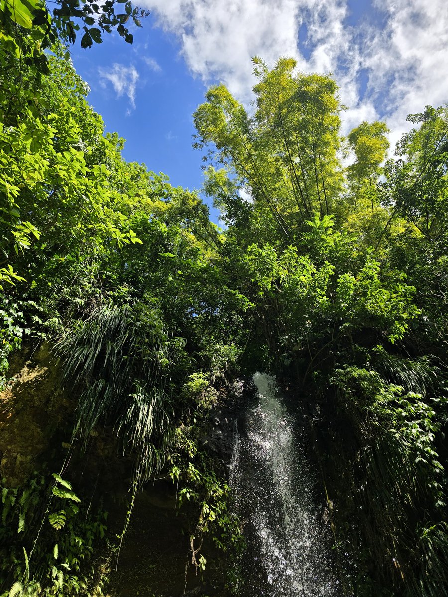 Adam (@adam_seeley) on Twitter photo The best beaches, incredible views up in the hills, mud baths, waterfalls and botanical gardens. An amazing couple of days on this serene island. Next up tonight the Gros Islet Friday night street party. Pass me the rum 🥃 The best beaches, incredible views up in the hills, mud baths, waterfalls and botanical gardens. An amazing couple of days on this serene island. Next up tonight the Gros Islet Friday night street party. Pass me the rum 🥃