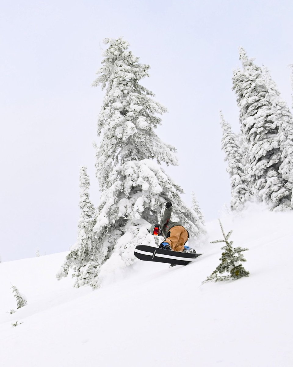 SchweitzerID's tweet image. 11" in the last 24 hours 
2,900 acres of terrain open
All 10 lifts spinning
And more snow on the way.
All that to say, you should probably come up and ride this weekend. 🏔️ 

#schweitzerlife #skiidaho #powderday