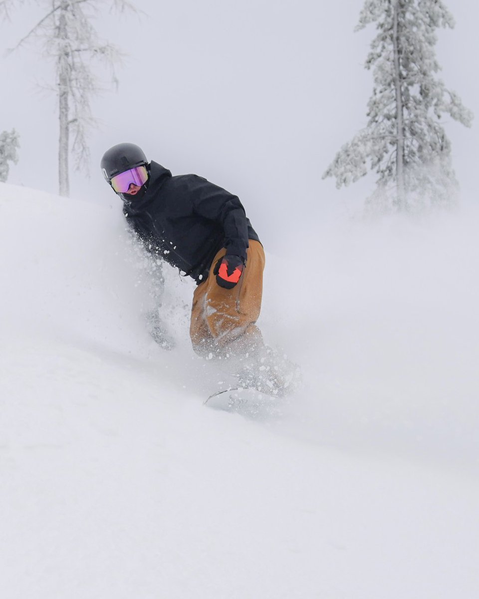 SchweitzerID's tweet image. 11" in the last 24 hours 
2,900 acres of terrain open
All 10 lifts spinning
And more snow on the way.
All that to say, you should probably come up and ride this weekend. 🏔️ 

#schweitzerlife #skiidaho #powderday