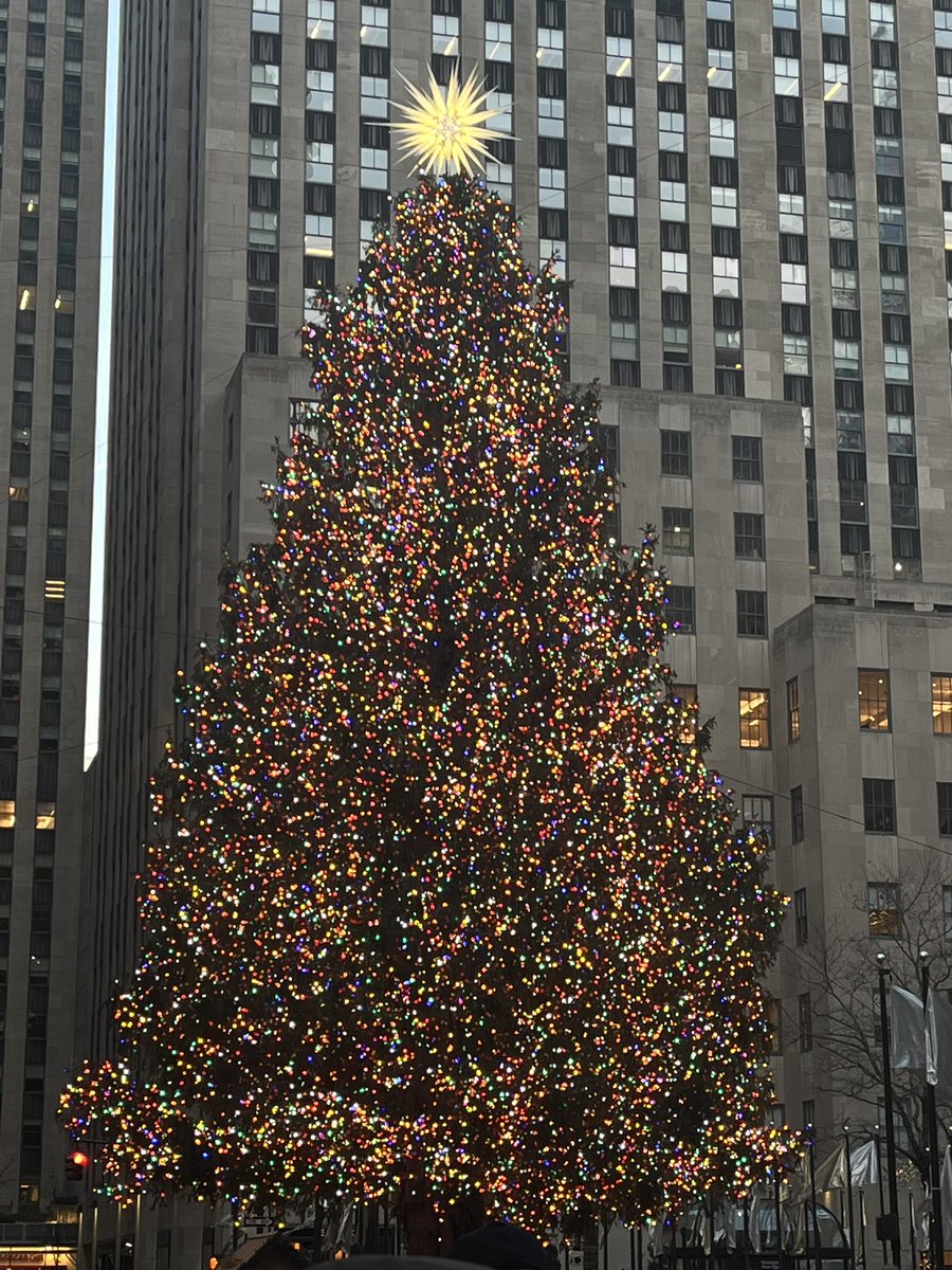 Jacob Stagray PhD tweet media