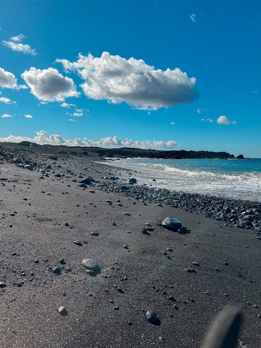 TaisIllan's tweet photo. lanzarote vol.2
piedras negras, aguas bonitas

https://t.co/KzBVeMao4k https://t.co/HflaMnhIVD