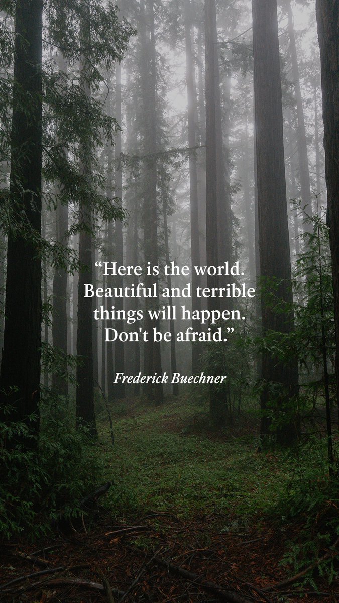 The Wonder of Tolkien (@tolkienwonder) on Twitter photo 