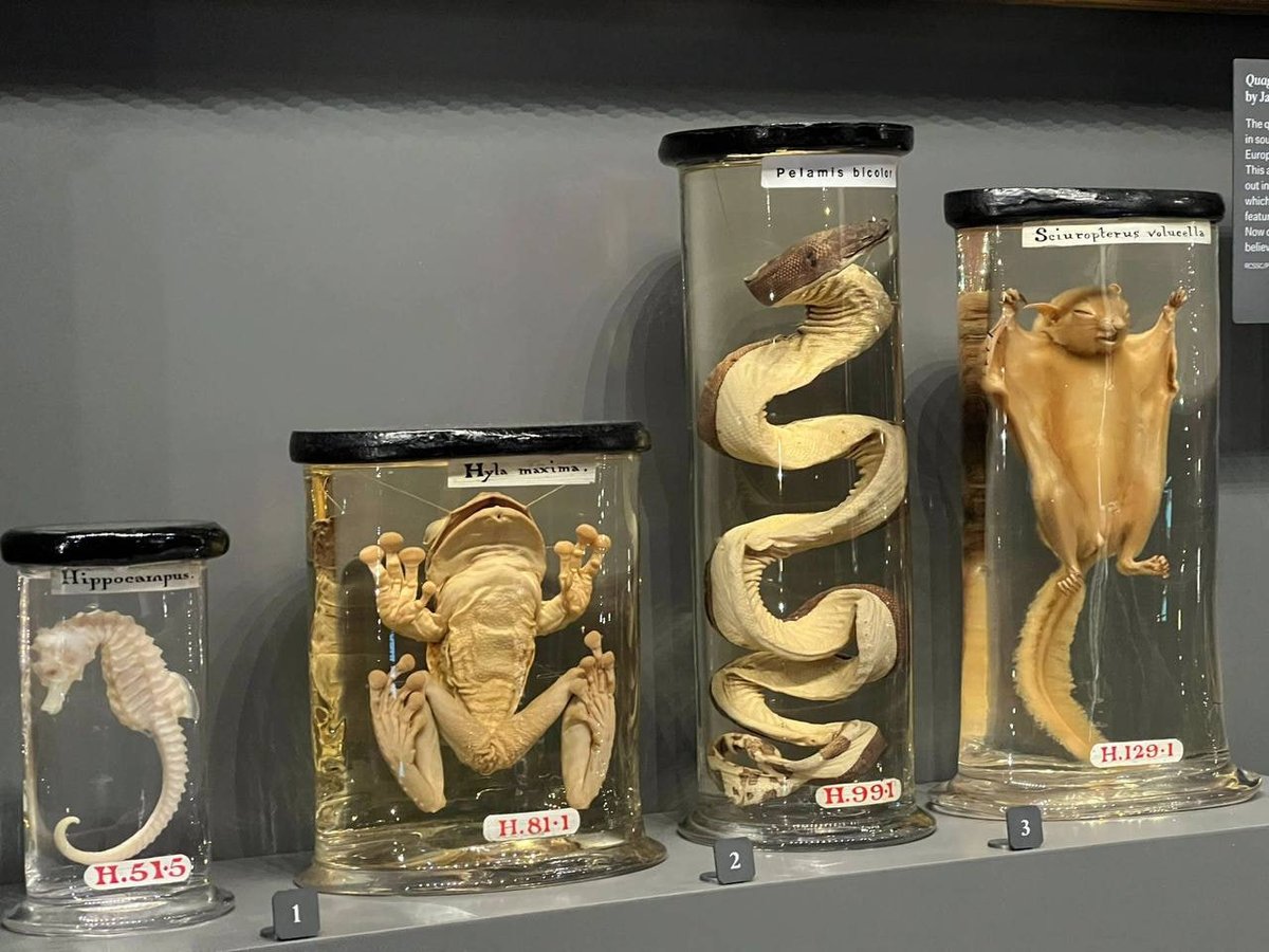 Celia🧸🖤 tweet media