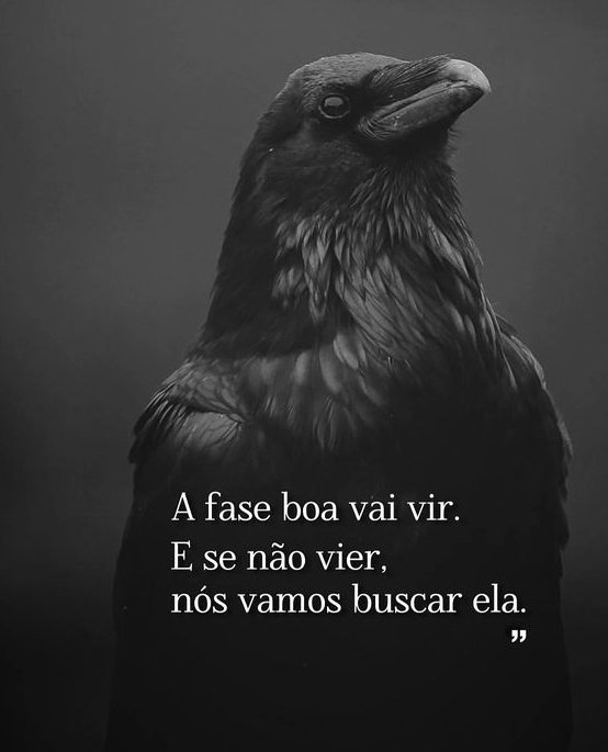 Frases da Quebrada 🏳️💯 (@frasesdaq) on Twitter photo 