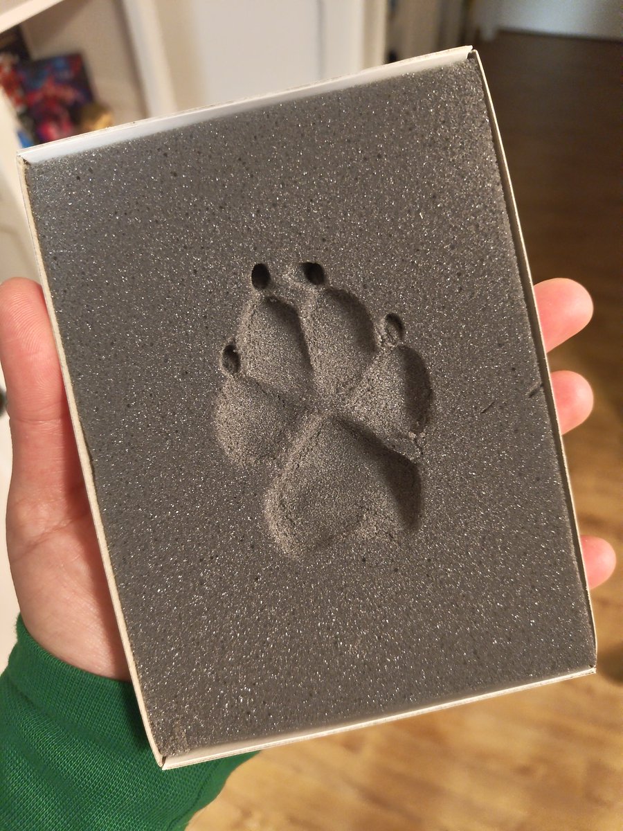 😱 Die Menschin hat Fingerabdrücke von mir genommen! Vom Kaddser will sie auch welche aber xer hat nicht richtig mitgemacht, das probiert sie morgen nochmal - aber was will sie denn damit??