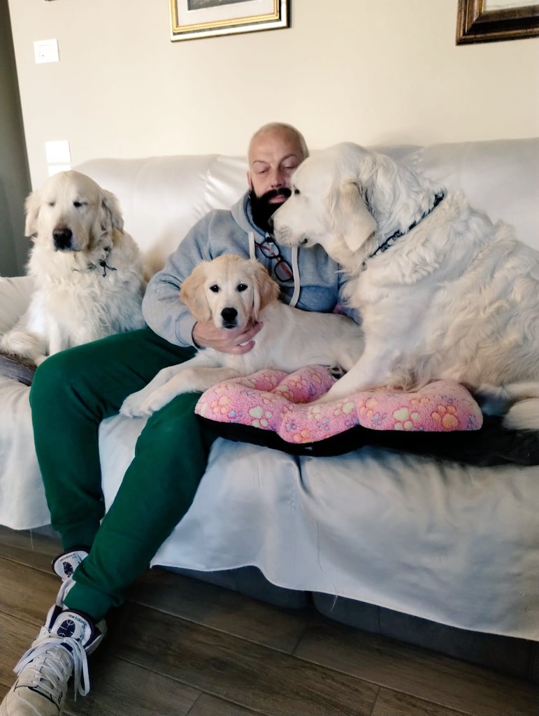 Number189025663's tweet image. COCCOLE ❤️❤️❤️