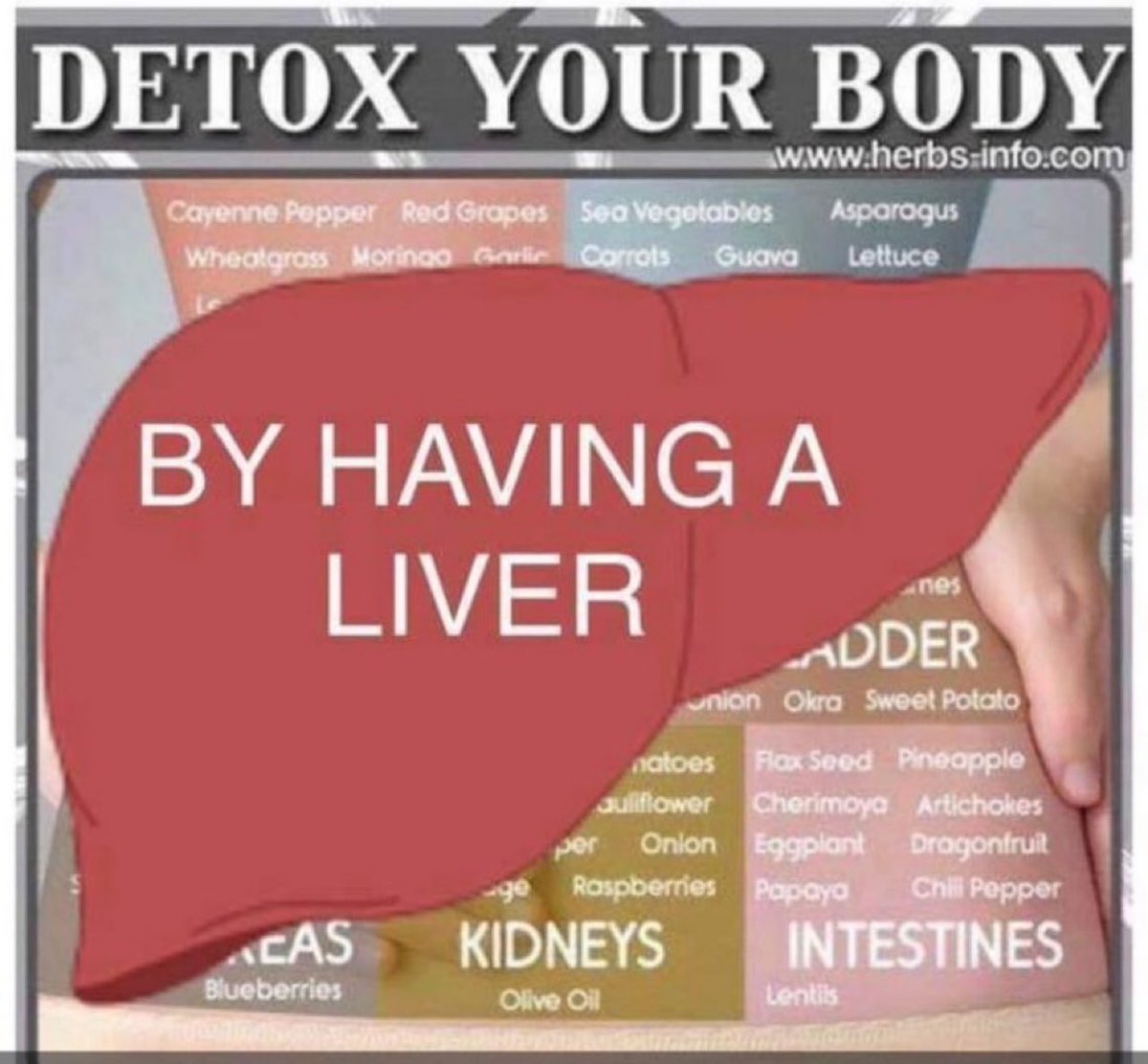 BFM et le pharmacien qui font la promo des « ampoules detox pour le foie pour éliminer les excès des fêtes ». Alors je vais partager une nouvelle fois la photo qui résume tout :