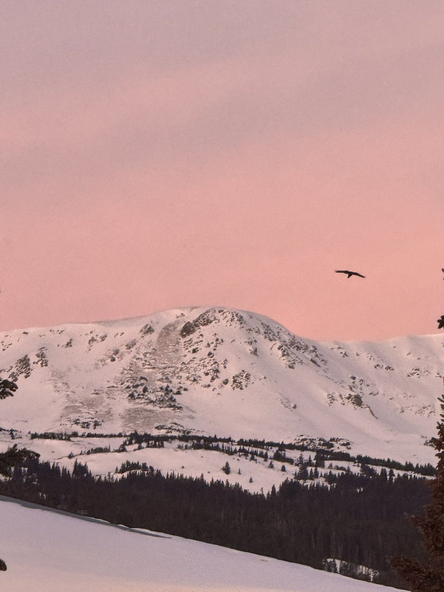 kimura 🏴‍☠️ tweet media