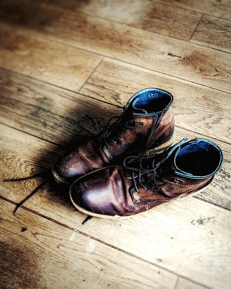 definitelynotshouting tweet media