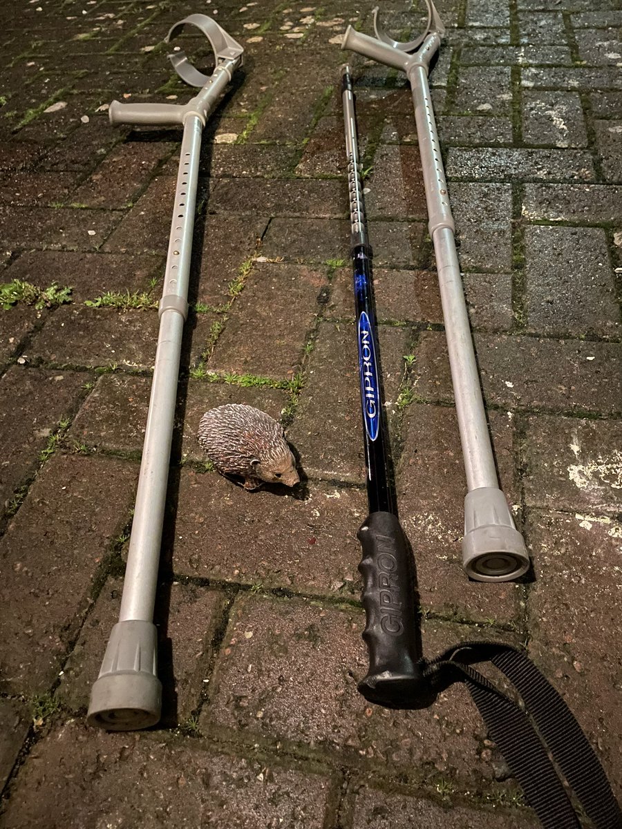 TjoLoLo7's tweet photo. “ed” #thesouthafricanabroad No more crunches, just a walking stick on the ready
Walking #SilverdaleGlen along #BurnRiver 2night
Been a while since I’ve been able 2 walk through a Glen
#SavingHedgehogs
#CountingBats #CountingCongerElls
@PStockham
@HedgehogCabin
@Poppyshedgehogs https://t.co/GB2ph7jvrD