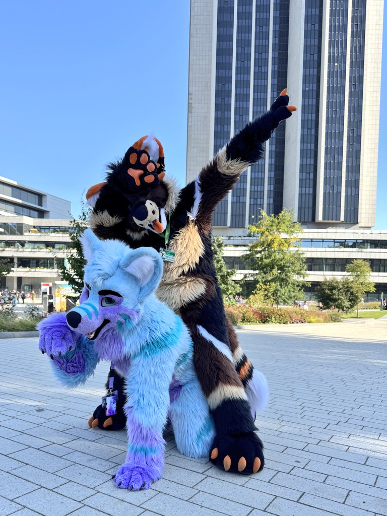 Since this is the last #fursuitfriday of 2024 I wanted to share a couple of personal highlights from this years #eurofurence. After a pretty rough Spring/Summer it sure was amazing to just relax, hang out with my dearest friends, have tons of fun and re-connect with the fandom I