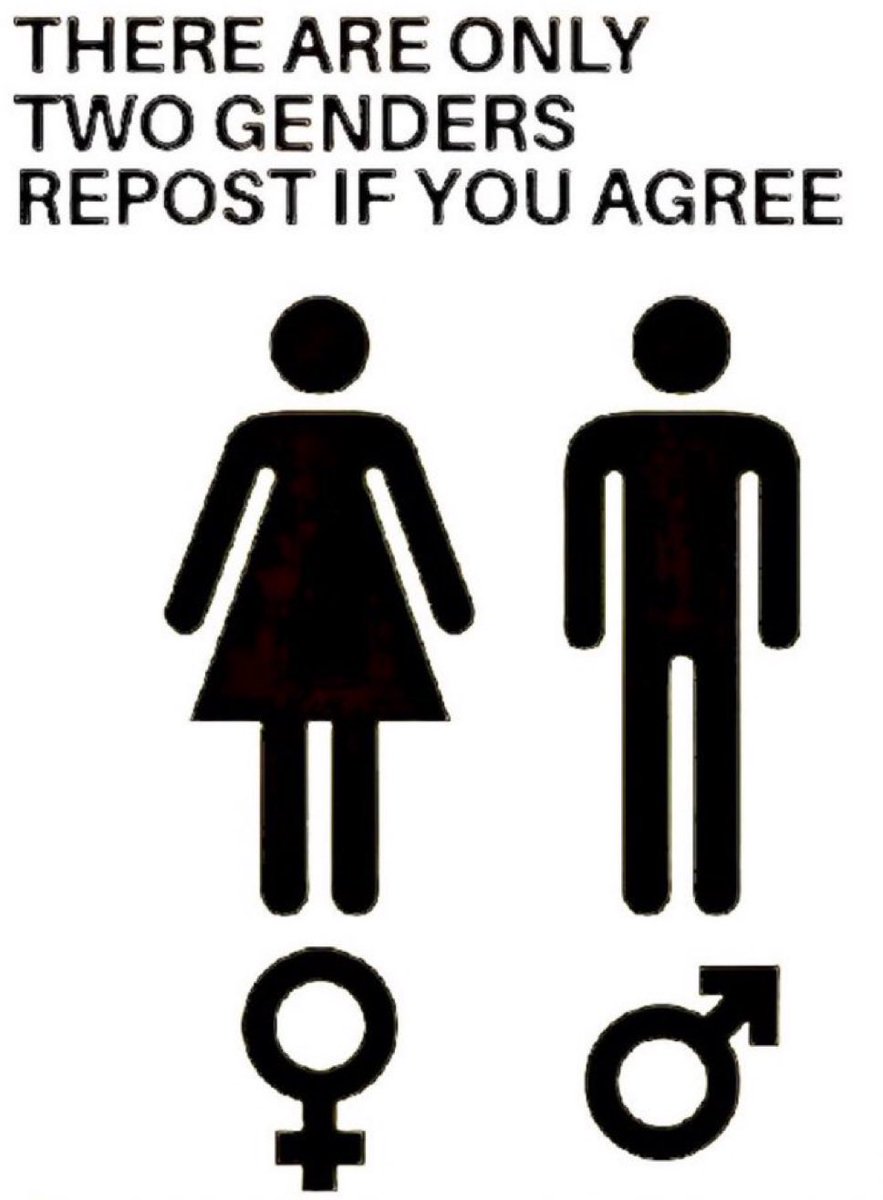 ProudElephant's tweet image. 💯