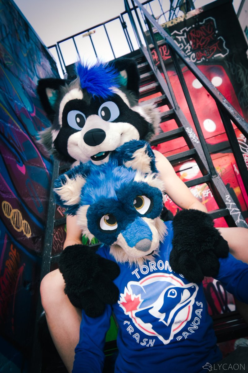 Graffiti Alley in Toronto with <a href="/FlummoxRaccoon/">Moxy 💙</a>!

📸: <a href="/LycaonWuff/">Lycaon</a> 
#furry #fursuit #FursuitFriday