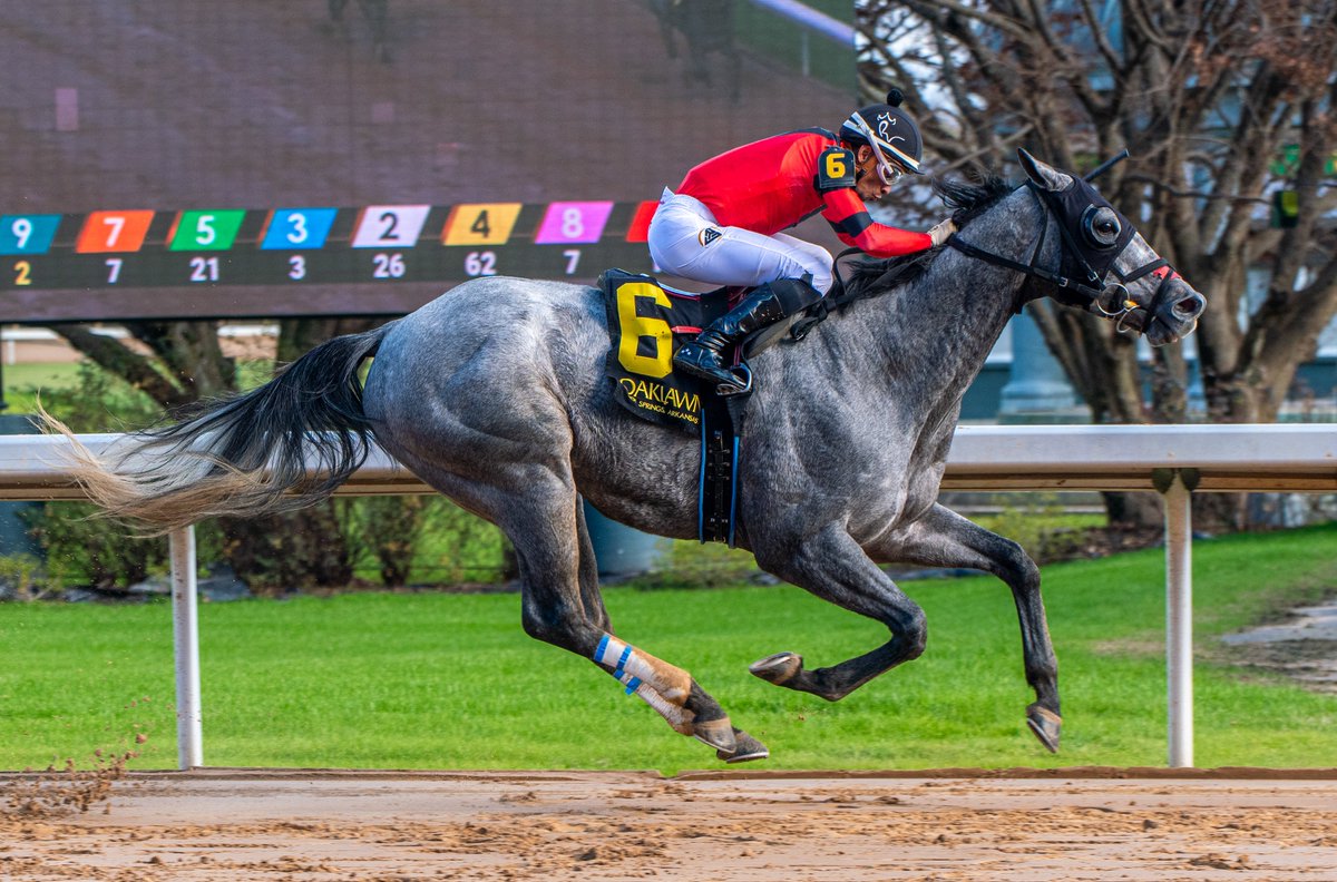 RobertYates1982's tweet photo. Arrogates Spirit, a half-brother to champion Whitmore, powering to a 4 3/4-length victory in R4 Friday at Oaklawn. @JockeyRamonVazq for @SweezeyK (first career Oaklawn victory) &amp; @StarryNightRcng. https://t.co/hEjEHQAxpH