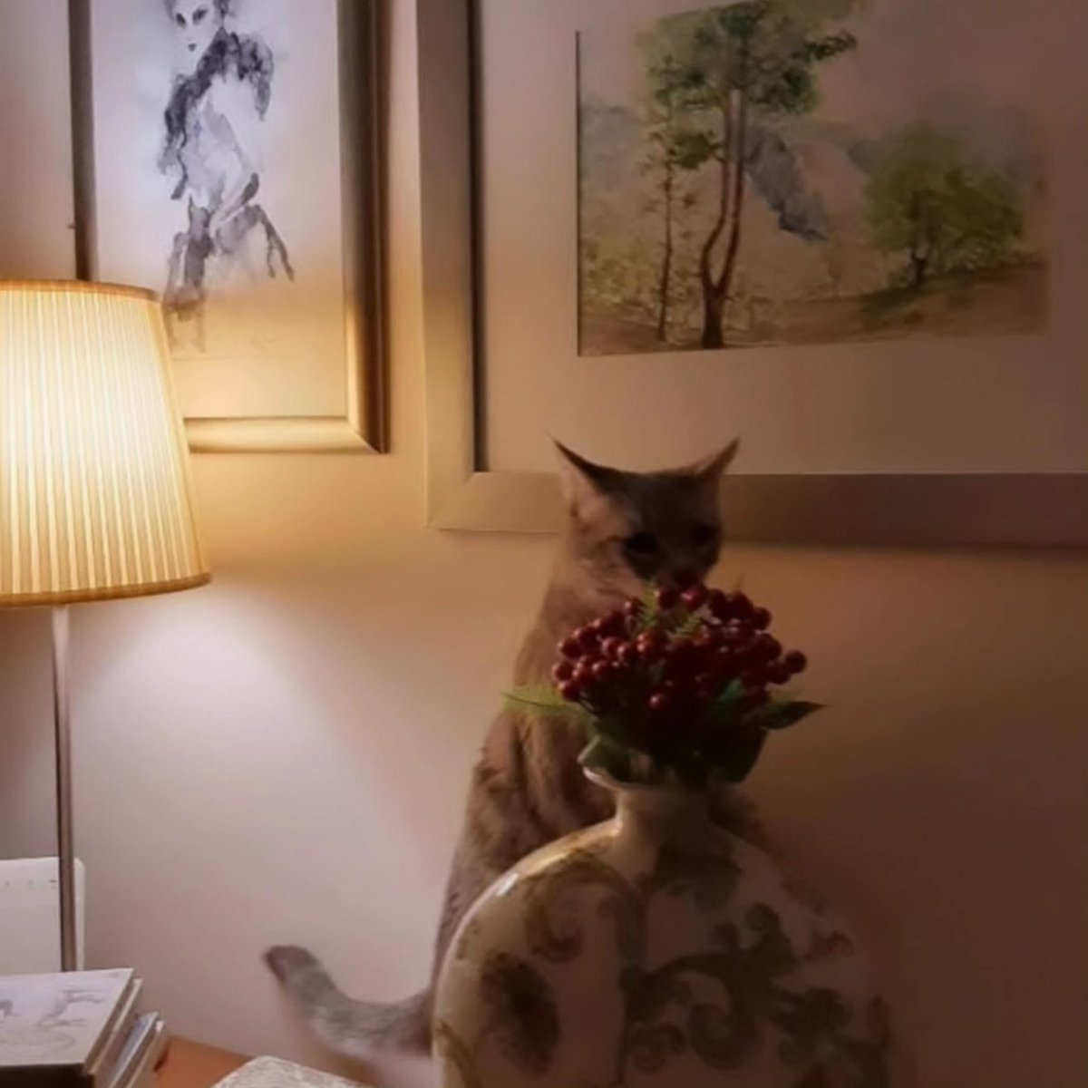 Teftiş 🍒
#zeze💙🧿