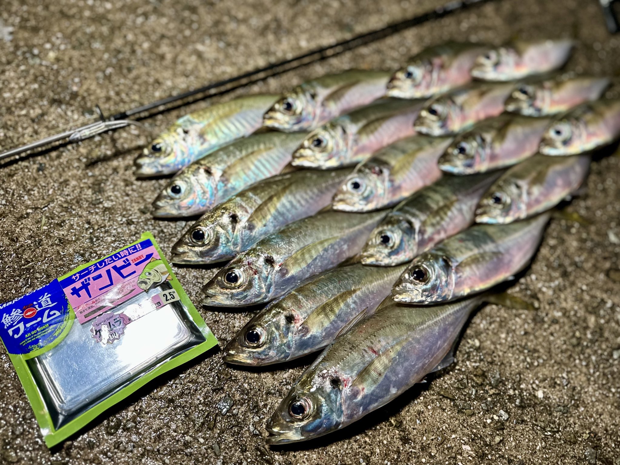 ('-' 鯵)з（2点） ささめ針 アジ釣 糸付 金 AA402 7号 | スポーツ・アウトドア用品