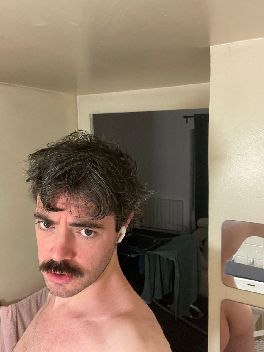 prof. gay guy 🃏 tweet media