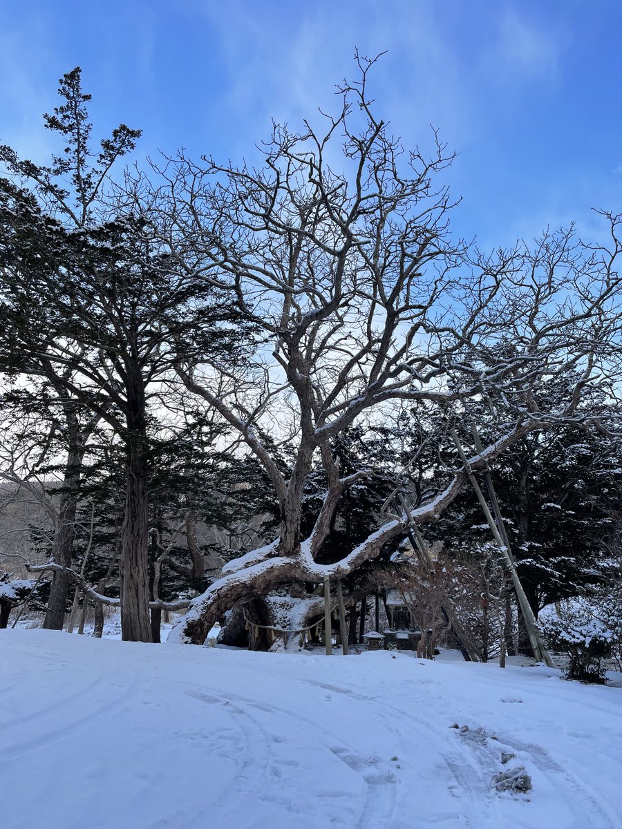 josefu1207's tweet photo. おはようございます！久しぶりです
最高気温が氷点下の空気がピリピリした中での参拝です。中々投稿も出来ず
今年最後の投稿になります！
少し早いですが皆様良いお年を！ https://t.co/5TuX85ikTJ