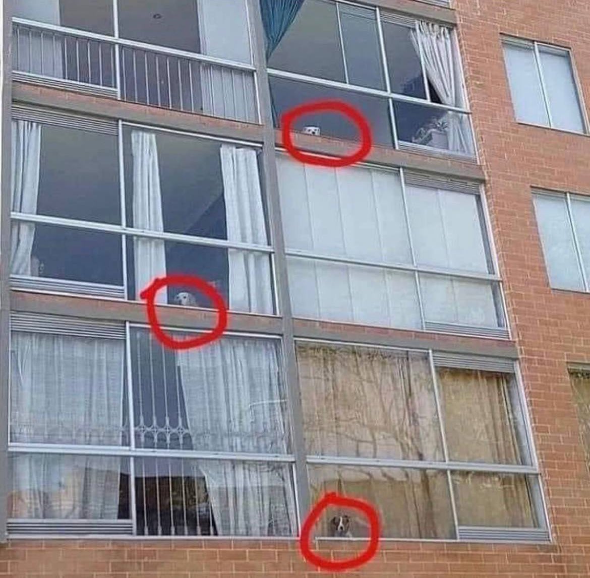 Vivo en un edificio lleno de vecinos chismosos.