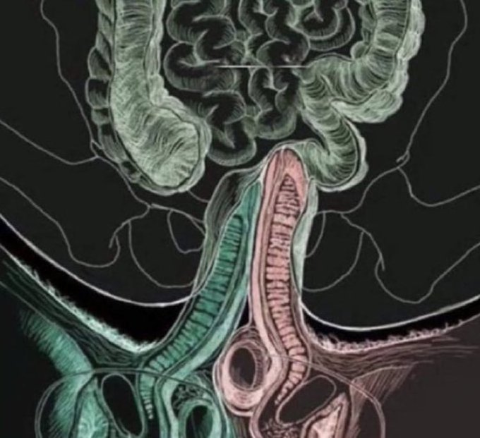 Watch 🇧🇷🦍🎧DJ XXXFLAVIO's leaked NSFW photo on TwXstars