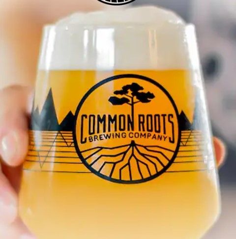 Looking for a brewery with great beer, community vibes, and a powerful story? 🍺 Check out Common Roots Brewing! Given their award-winning craft brews, they're proof that passion create something truly special. #CraftBeer #BeerLovers #NYBeer #SupportLocal buff.ly/4gOsmIi