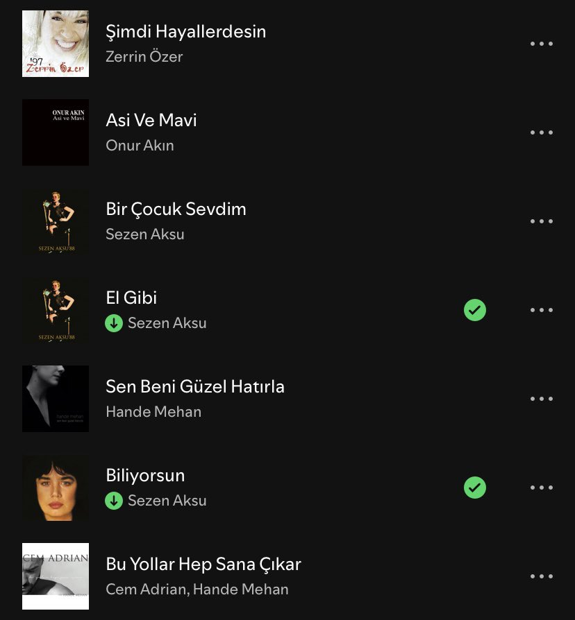 neden 89383 kere bosluga daliyosun sorusuna HIC YA BISI YOK derken benim playlist