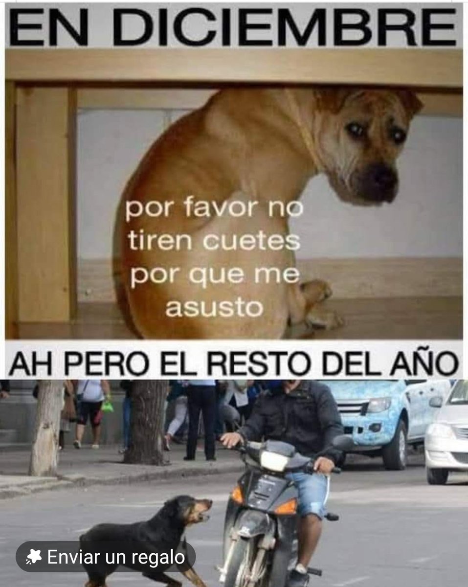 SIMONAZO_SIMON's tweet photo. @SEMARNAT_mx @CAMegalopolis https://t.co/bwTK3MFkF7