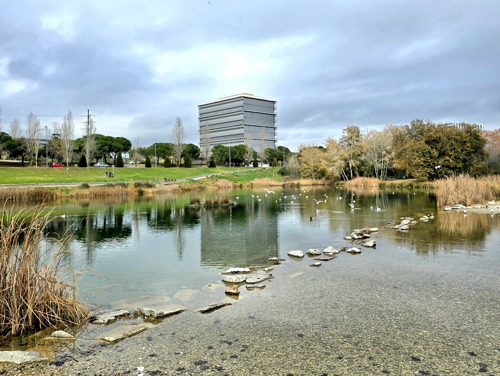 QuintanaCarles's tweet photo. L'estany de la Ginerdera, a Sant Cugat del Vallès #photographercarlesqf #santcugatdelvallès #vallèsoccidental @alexmegapc @BCNmoltmes @totsantcugat @PaisatgesC @parcscat @MeteoBarrufet @MeteoMauri @PassejantM @BCNmoltmes @caminsnatura #estany #estanque #LakeShow https://t.co/V19WgpYwUJ