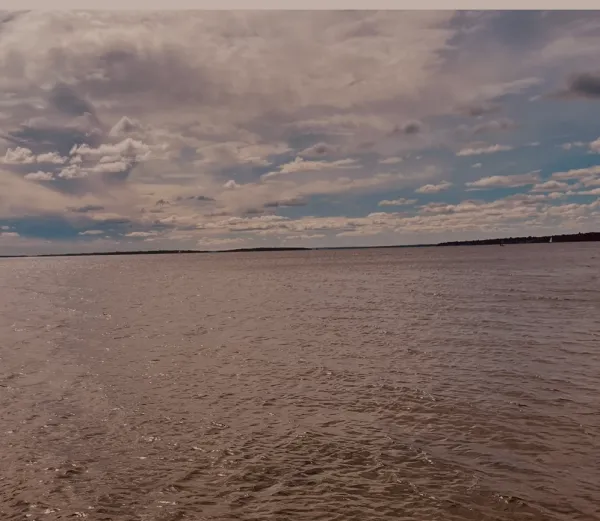 A selection a day from our last issue of the year. Here, powerful poetry in December's <a href="/WBT/">Yvan</a>. 

"Hearts and Minds," by Nathan Didier

We came to provide help that you didn’t want.
We came to provide security you didn’t need.
We came to provide schools that you didn’t care about.