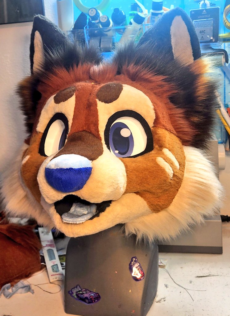 We have a face! 
#fursuitfriday #fursuitmaker