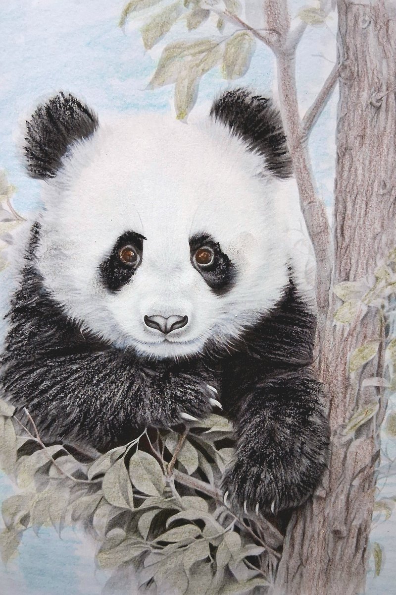 Russ Young tweet media