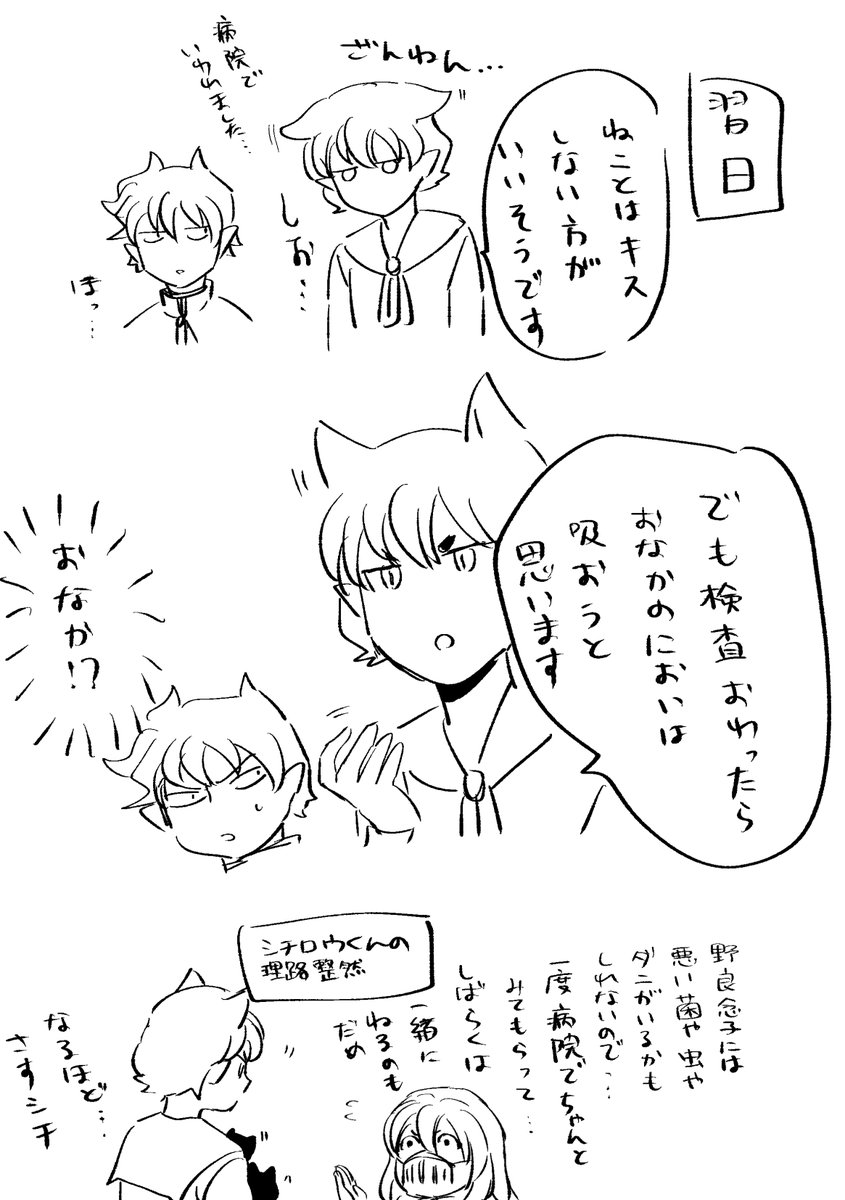 カルオペのらくがきの再掲だよ 
