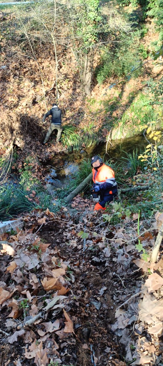 AVPC de Cardedeu tweet media