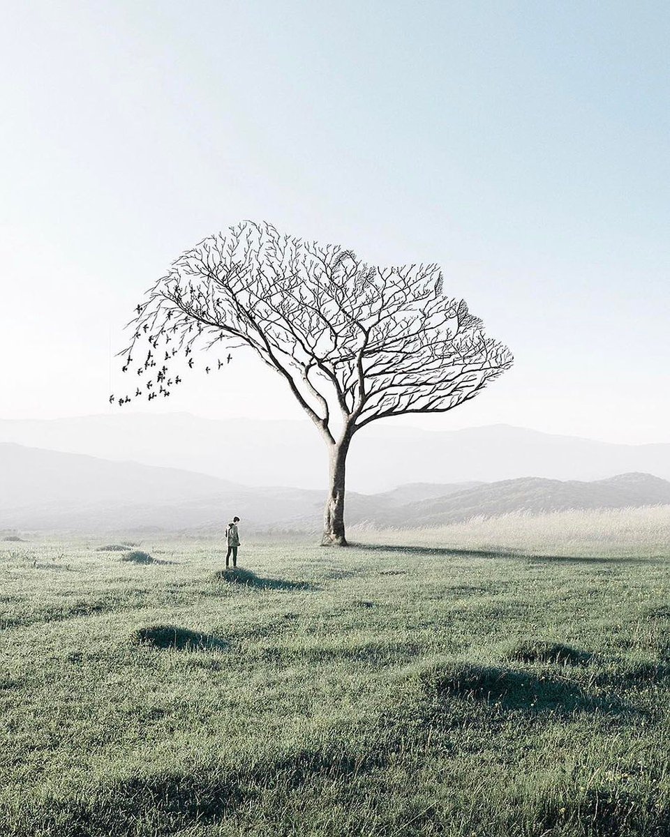 fubiz's tweet image. Loneliness or Serenity 🌲 by Jabid Arsalan 
#tree #solitude #serenity #mood