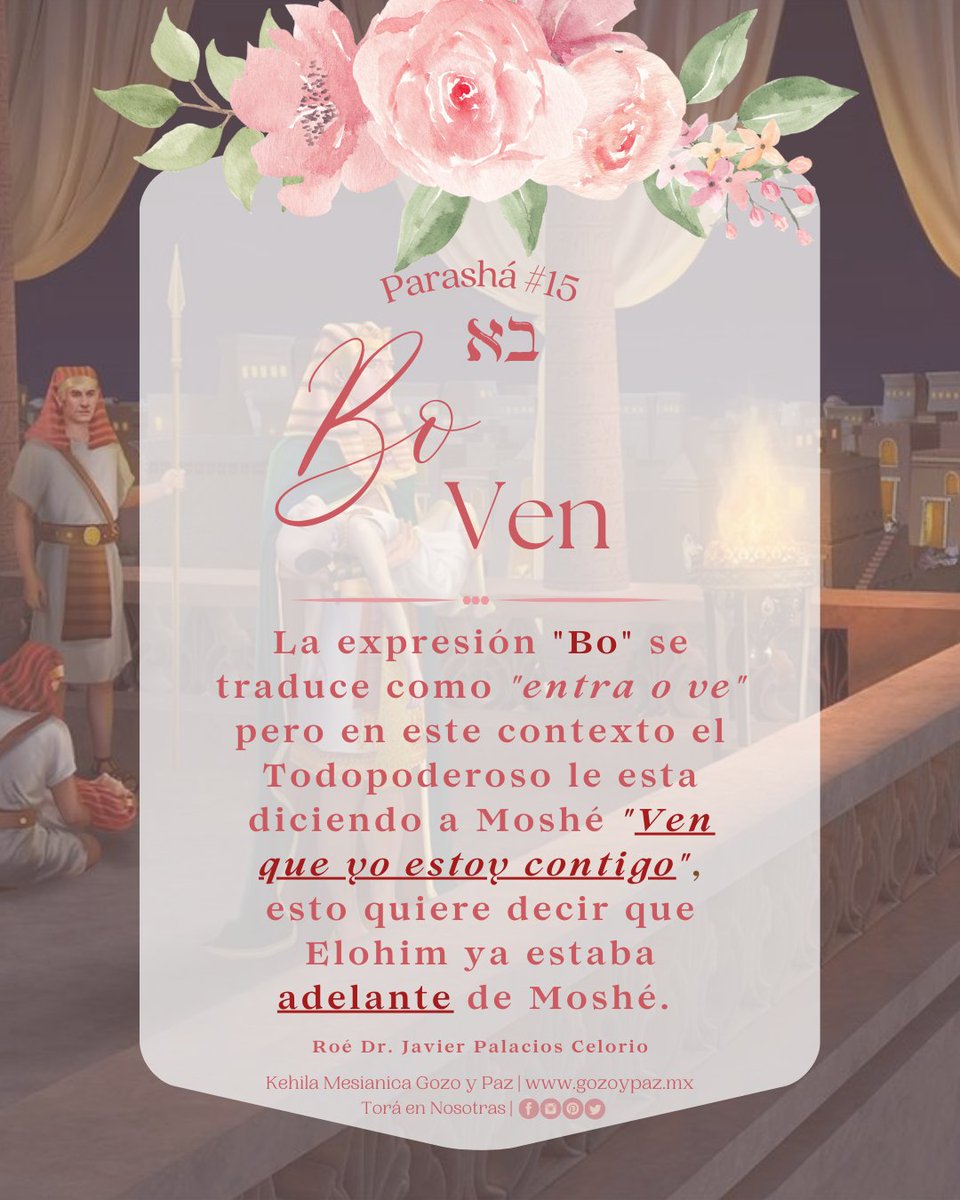 toraennosotras's tweet photo. 🌷📜P A R A S H Á # 15 B O📜🌷 ✨V E N✨
#Parasha #PorcionBiblica #Exodo #Shemot #Bo #Ven #Entra #EstudioDeLaTorah #EstudiosDeLaBiblia #Torah #TorahEmet #Biblia #Mesianicos #SendasAntiguas #MujerJudia #gozoypaz #Shalom132 #GozoYPazTV #ToraEnNosotras #KehilaMesianicaGozoYPaz https://t.co/MSCLSpb80q