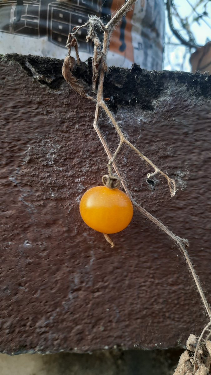 गर्नु  त धेरै छ तर थाकिसके यी सम्पुर्ण मनका भावनाहरू